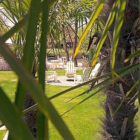 فندق The Escape